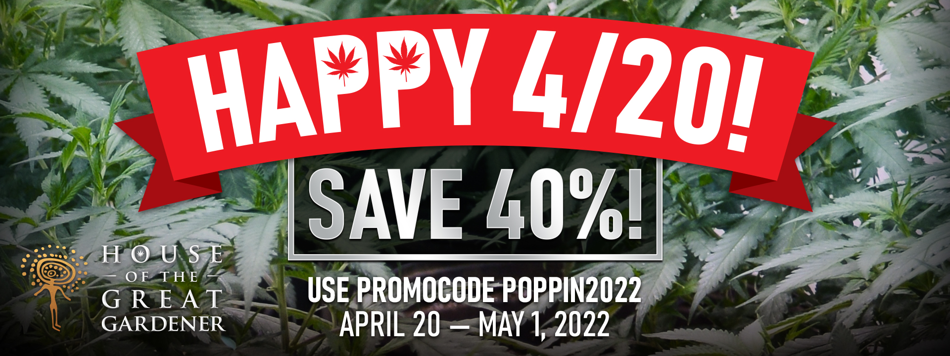 Grapefruit Barb Cannabis Seeds Great Gardener